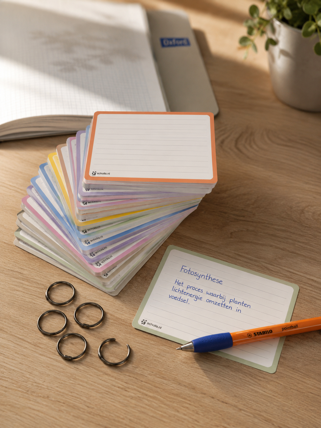 Scholis Flashcards A7 Pastel — 100 Stuks