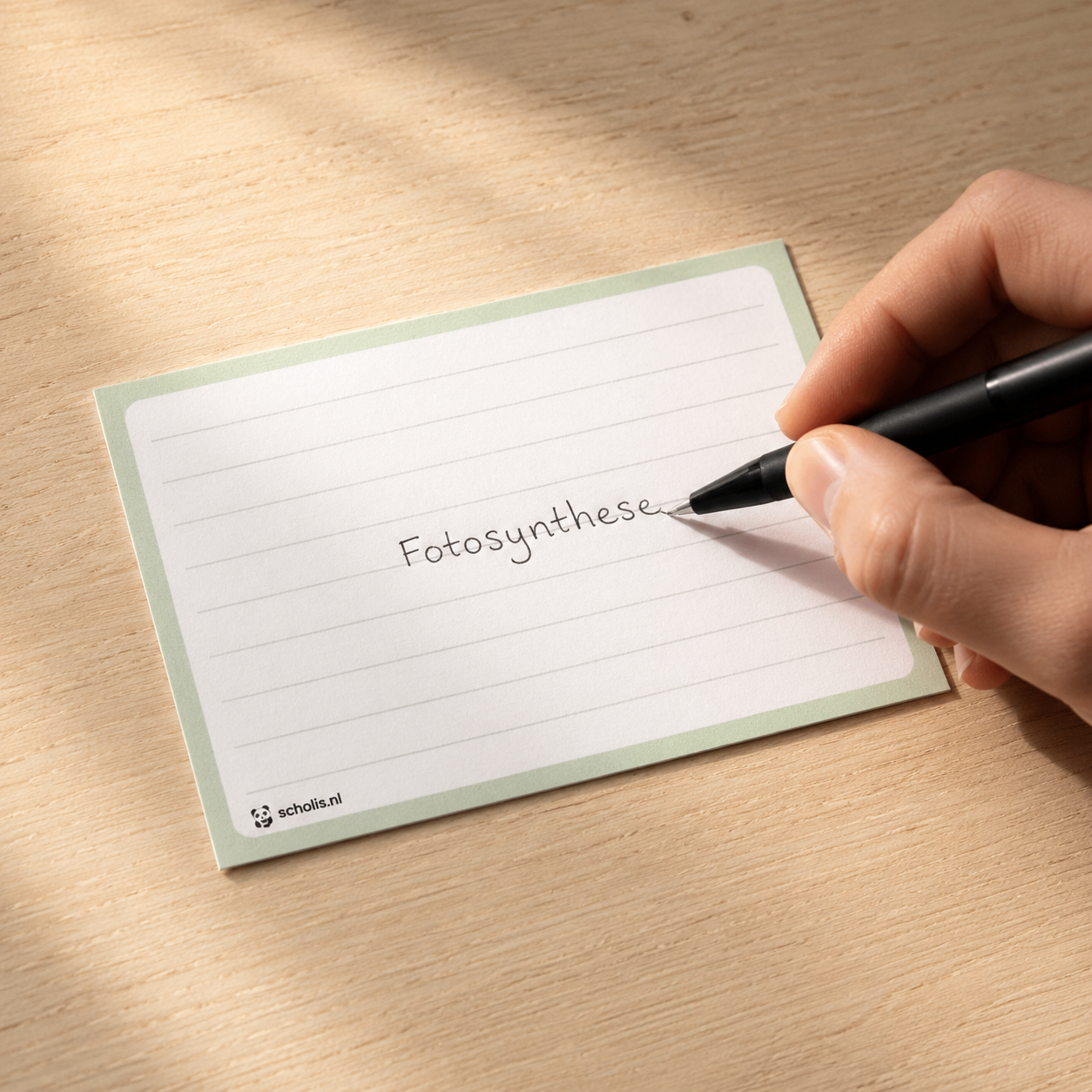Hand schrijft 'Fotosynthese' op groene Scholis flashcard — actief studeren voor toets